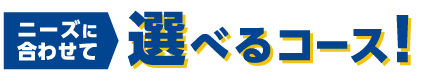 ニーズに合わせて 選べるコース!